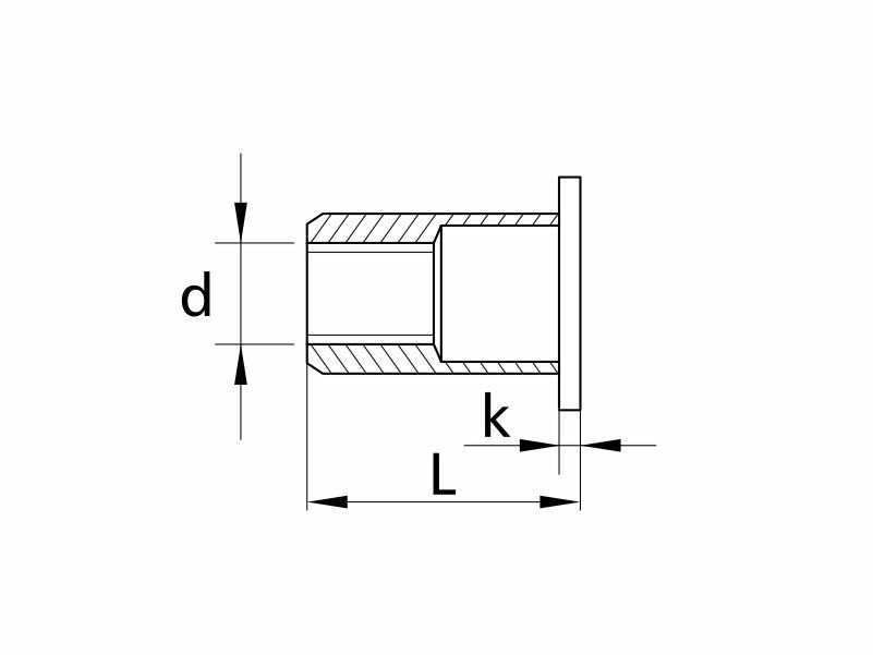 Flat head rivet nuts