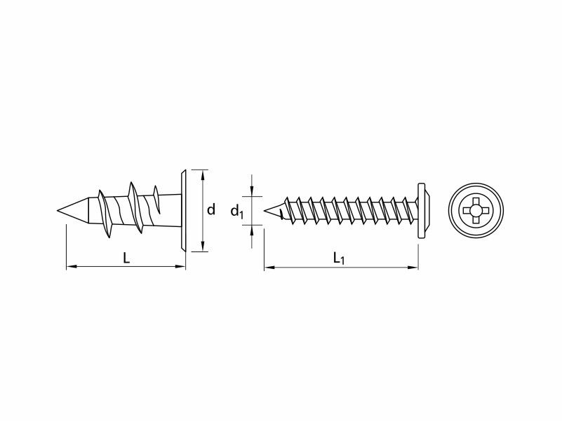 Drywall light fixing, 28 mm plug with wafer head screw