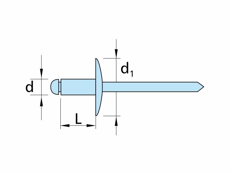 Stainless steel large flange head blind rivets, AISI 304