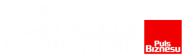 logo of Business Gazelles ranking