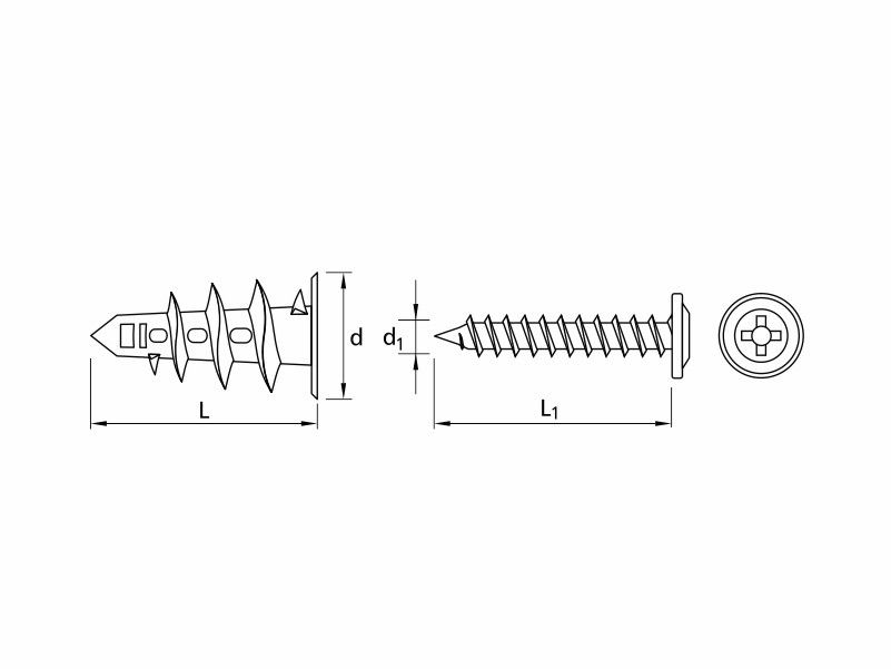 Drywall light fixing, 38 mm plug with wafer head screw